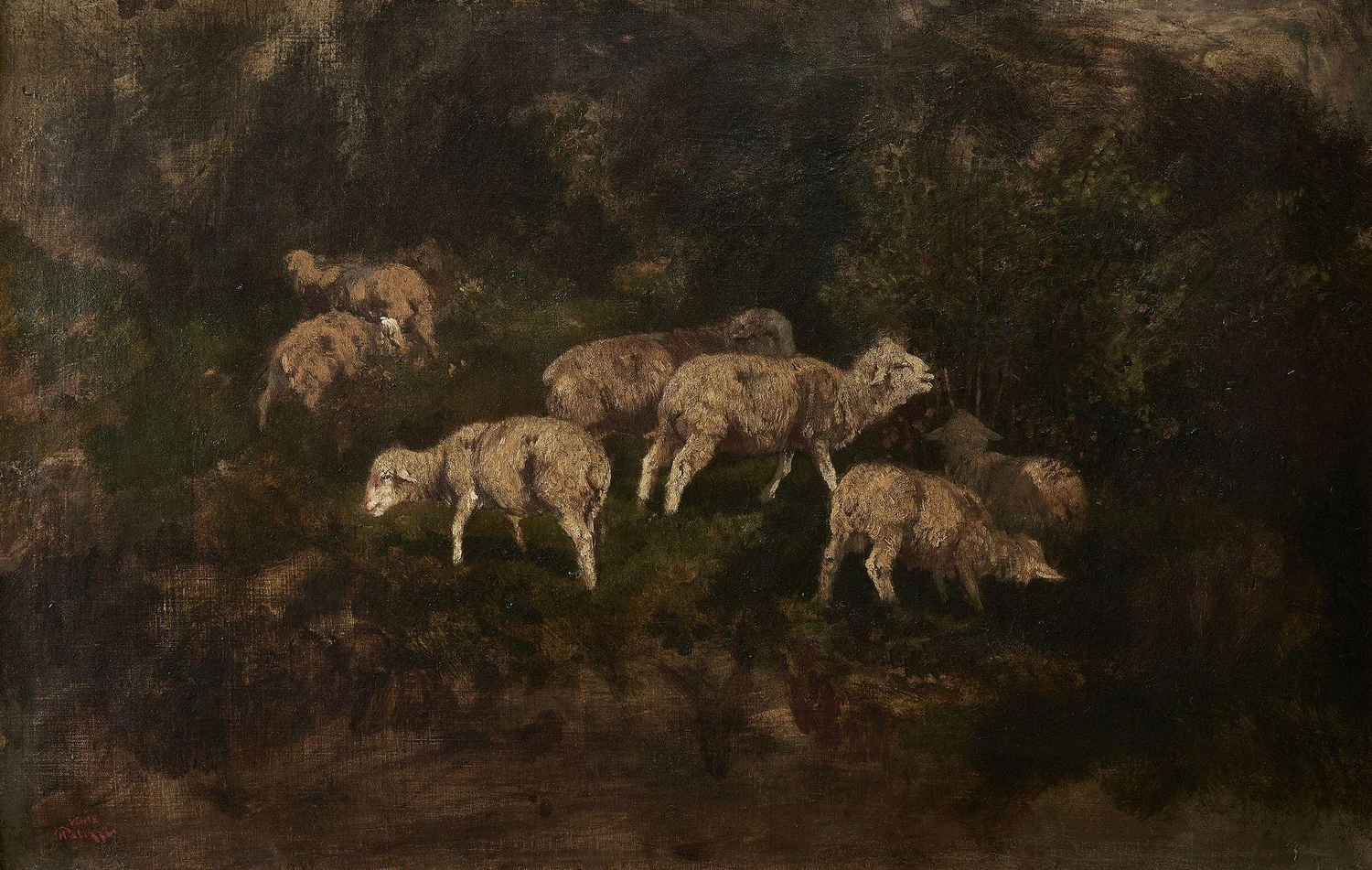 Gregge di pecore
